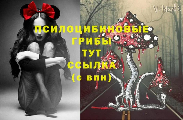 прущая мука Алзамай