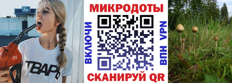 купить наркотик  Алексин  Псилоцибиновые грибы GOLDEN TEACHER 